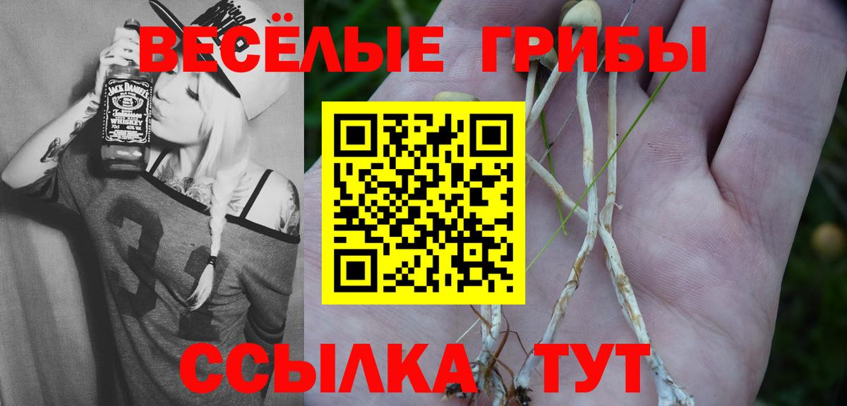 Псилоцибиновые грибы мухоморы  Вход с VPN  Ликино-Дулёво 
