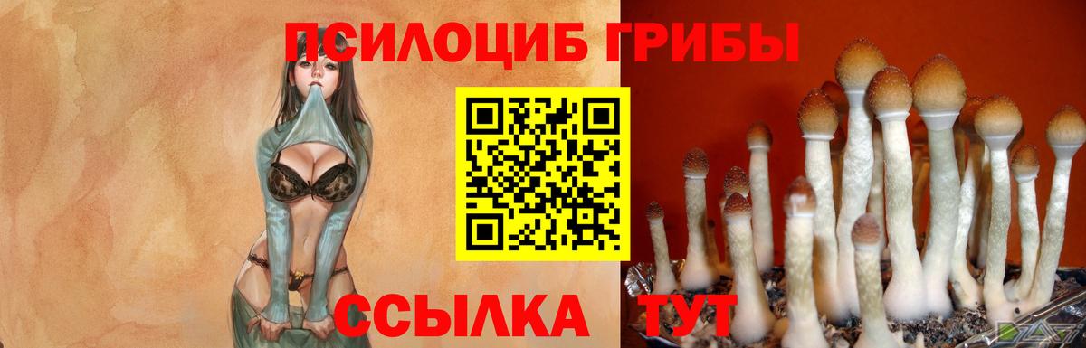 Псилоцибиновые грибы MAGIC MUSHROOMS Ликино-Дулёво